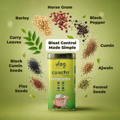 Core Fit Drink Mix - ulagnaturals